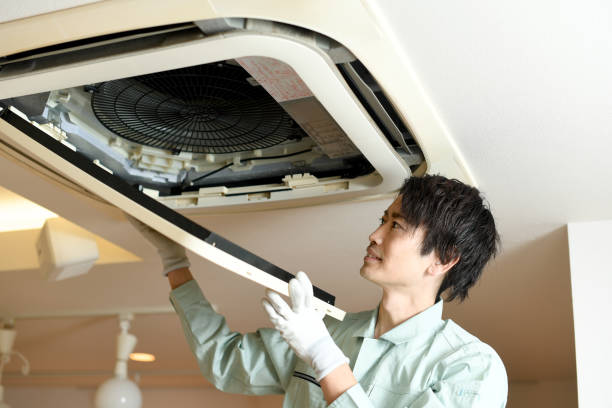 Best Air Duct Cleaning Near Me  in Scottville, MI